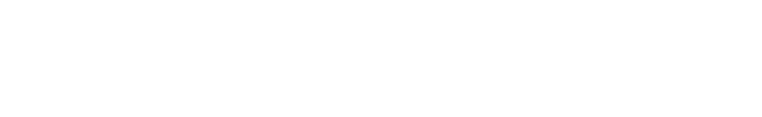 Seitron Americas